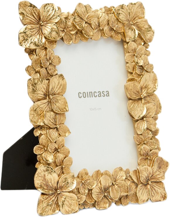 Coincasa 6803240 Çərçivə