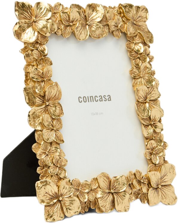 Coincasa 6803241 Çərçivə