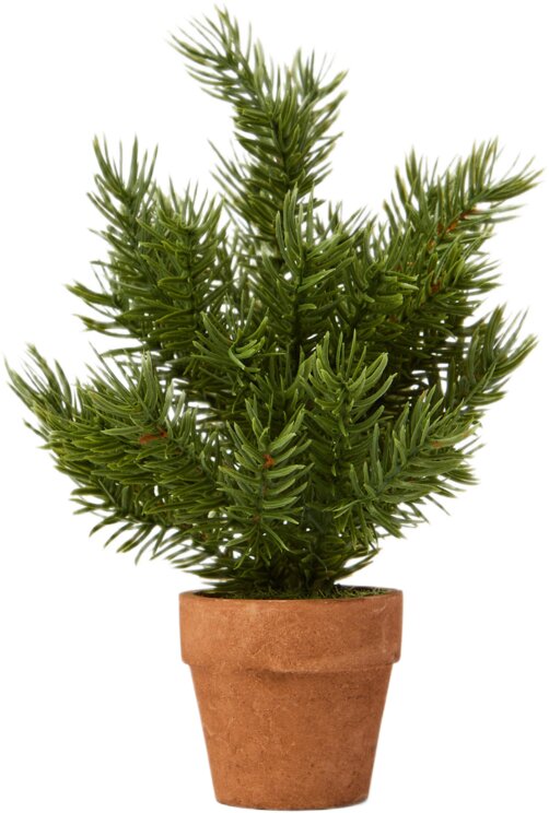 Coincasa 6803426 Şam ağacı