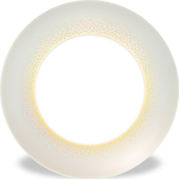 Haviland 1355-0022 Dinner plate