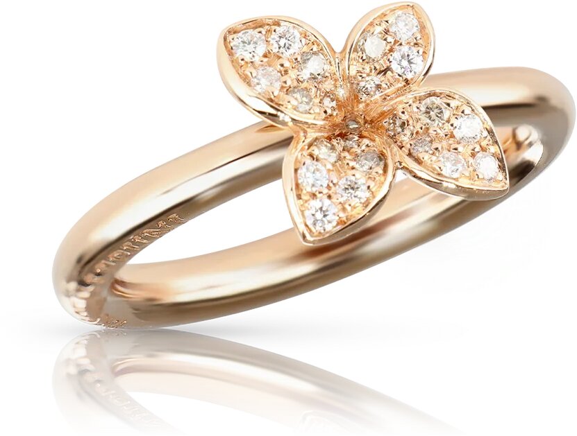 Pasquale Bruni 16801R