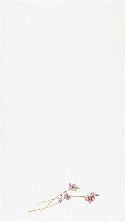 Yves Delorme 1068904